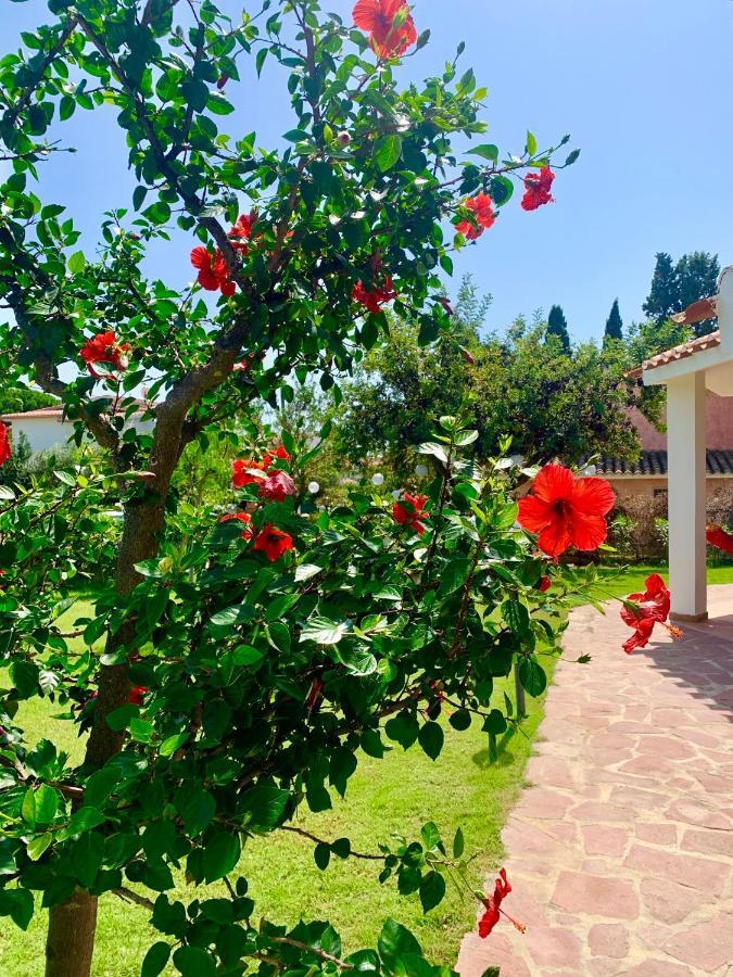 Casa Vacanze 'Sa Corbula' Porto Columbu - Perd'E Sali Ngoại thất bức ảnh