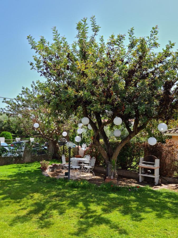 Casa Vacanze 'Sa Corbula' Porto Columbu - Perd'E Sali Ngoại thất bức ảnh
